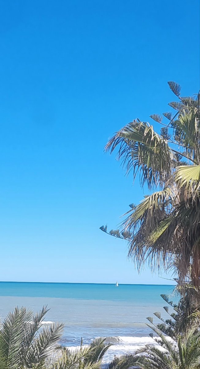 Elisa a secas tweet media