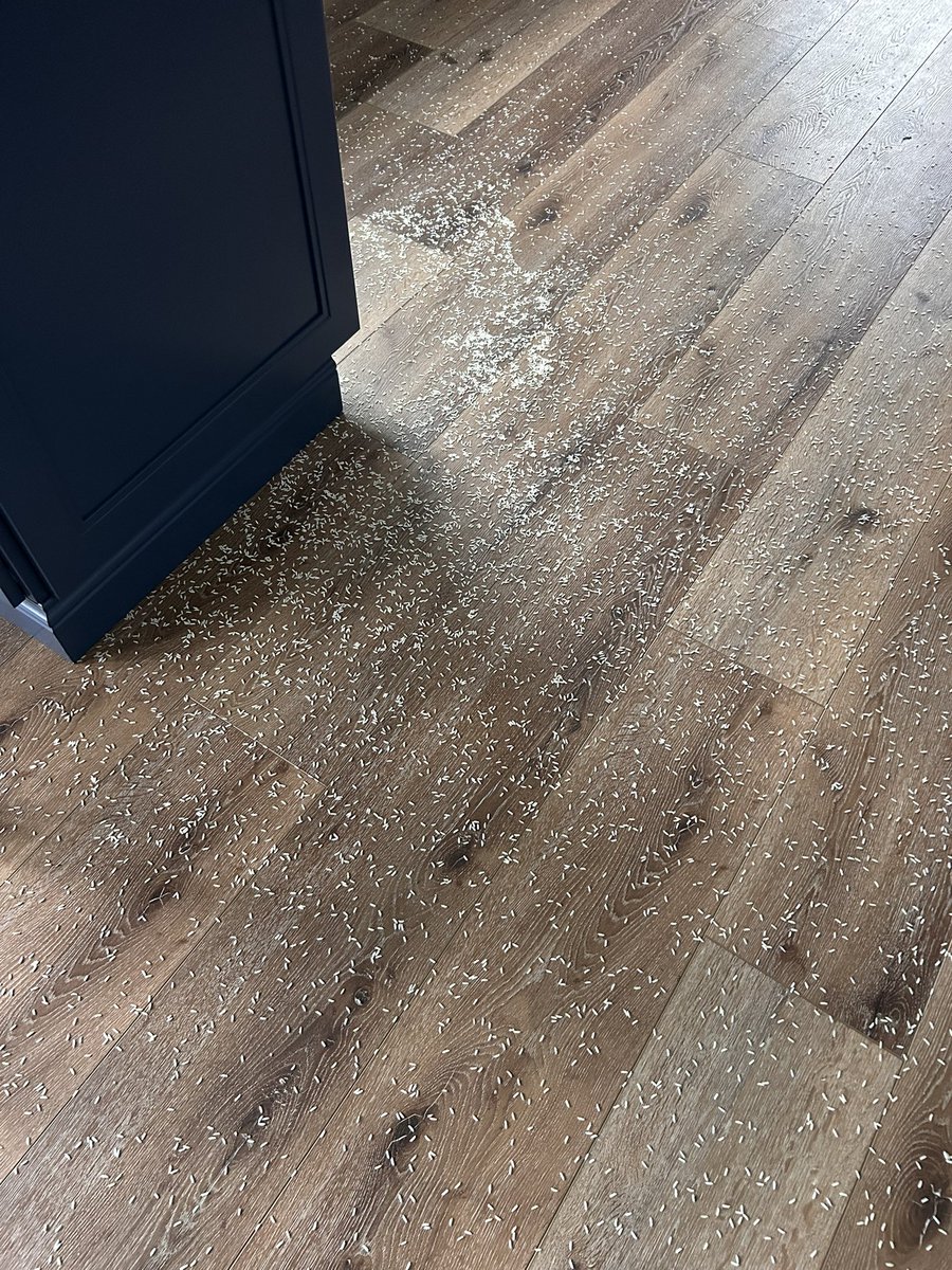 Meghan ❤️‍🔥 tweet media