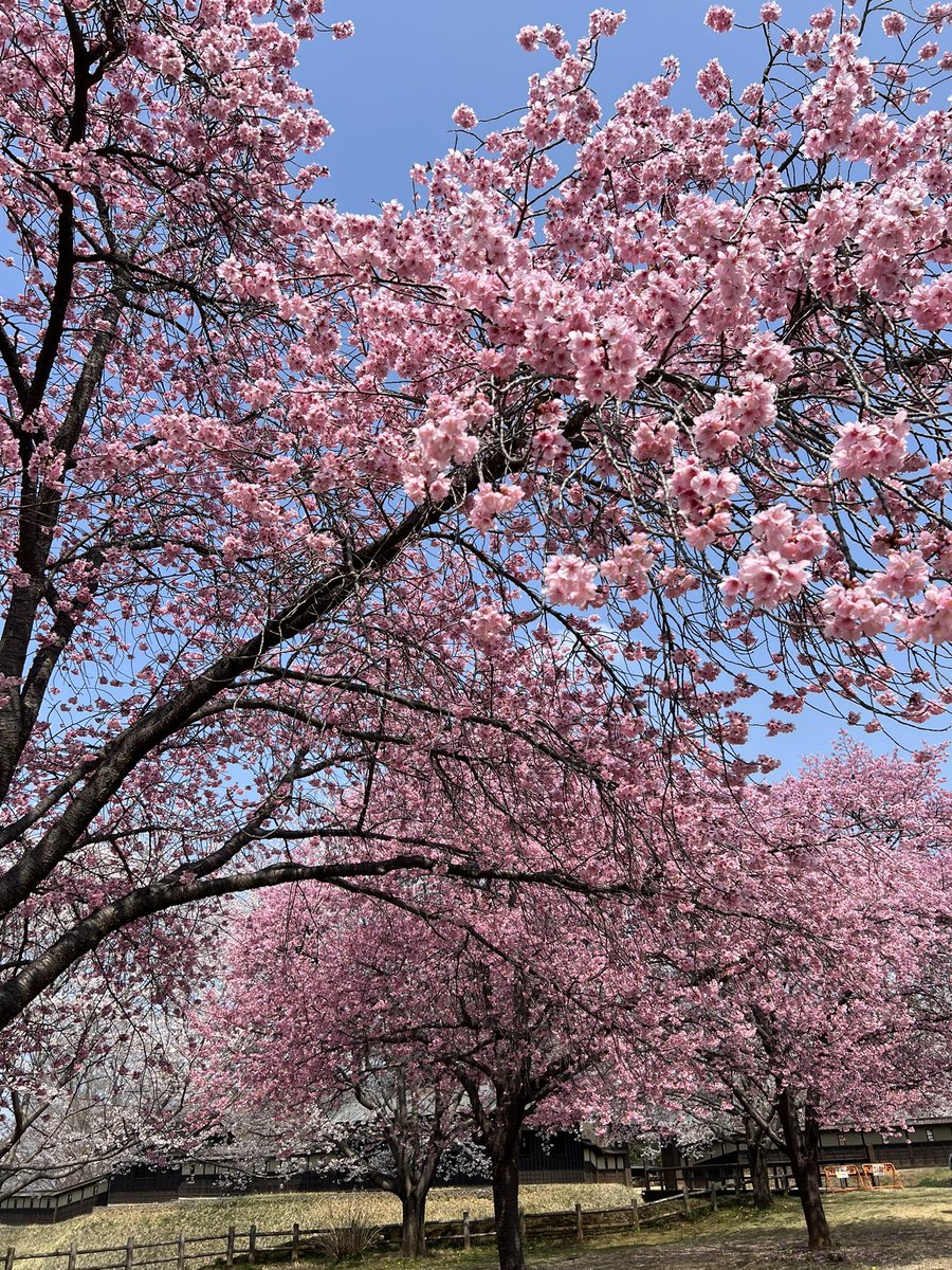 𝓂𝒾𝓃𝒶 tweet media