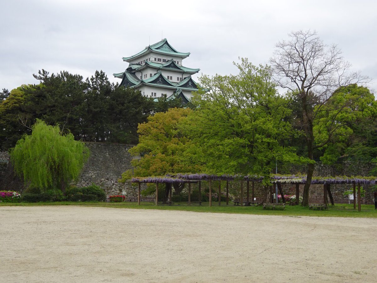 おいでよ名古屋@おいなご tweet media