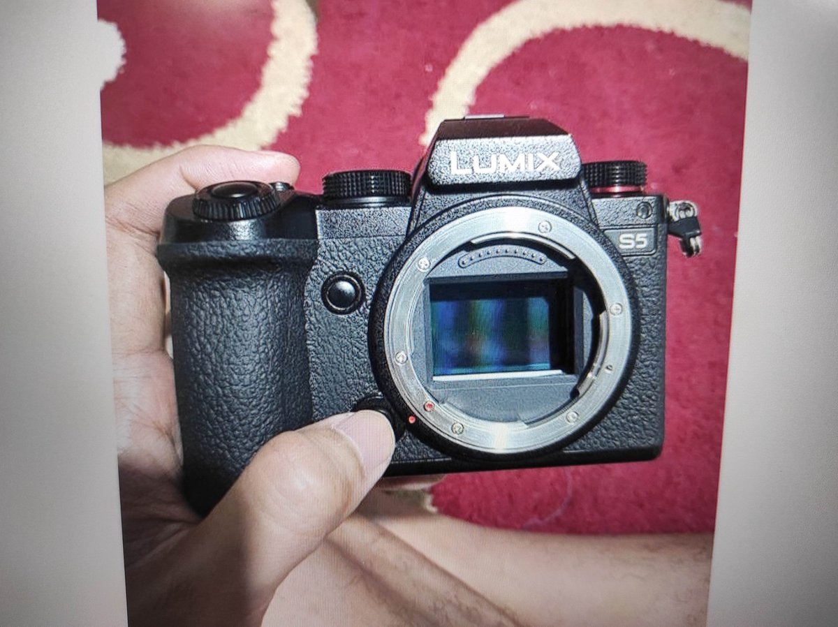 Habu Chan tweet media