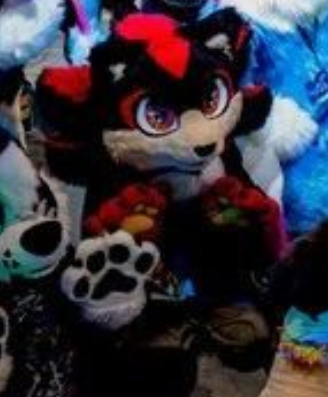 Bloo (MINOR‼️) tweet media