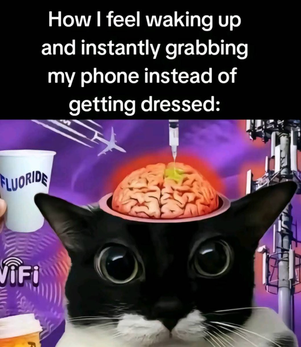 ella🌸 tweet media