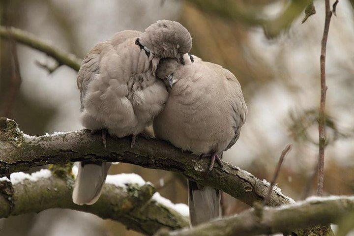 hîckįmśê tweet media