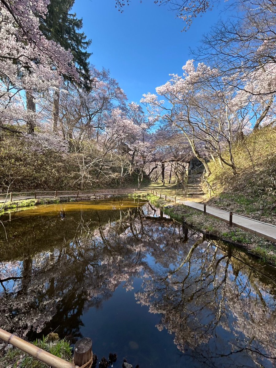 🪷🌙蓮月🌙🪷 tweet media