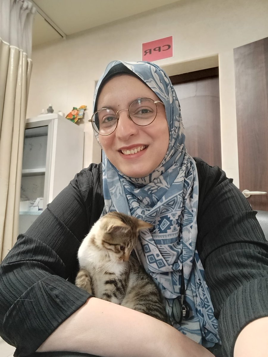 موسو 🇵🇸🔻📷🐱 tweet media