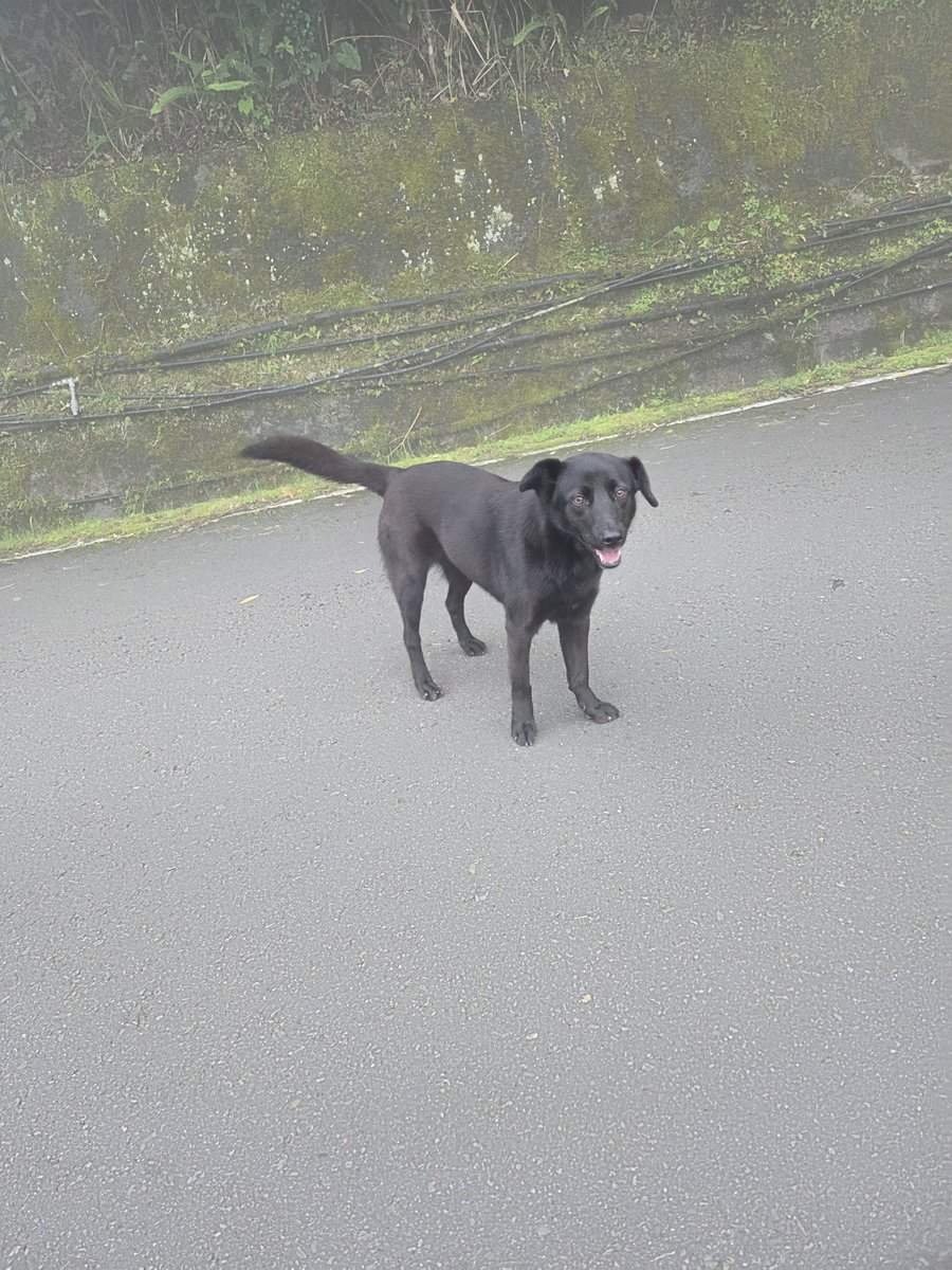 亀ちゃん tweet media