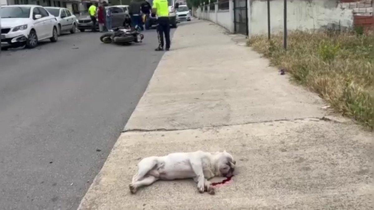 Sunshine tweet media