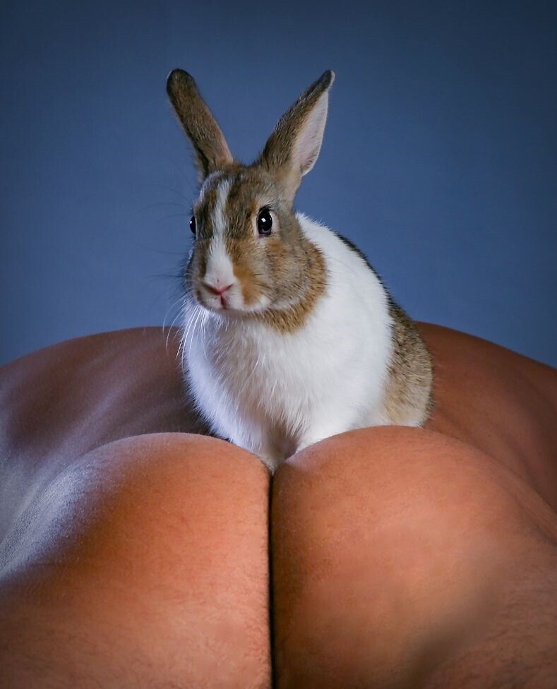 Gay Asians Masters 4 whites Slaves tweet media