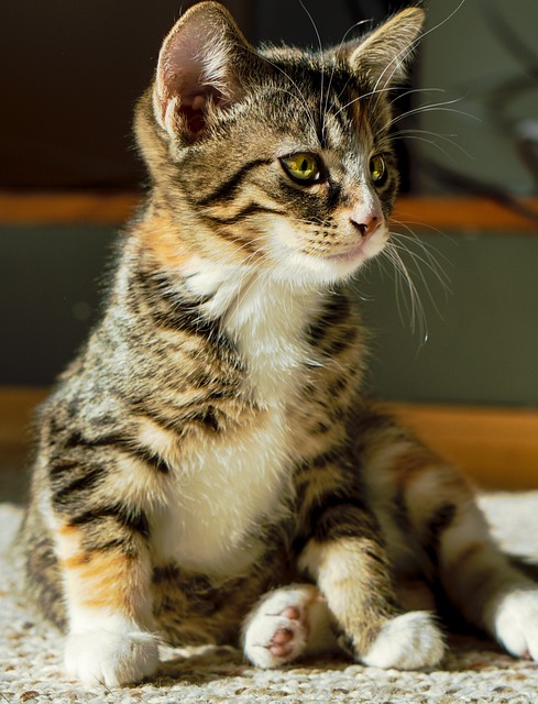 やす 🇺🇸 ベンチャーキャピタル @YasLovesTech tweet media