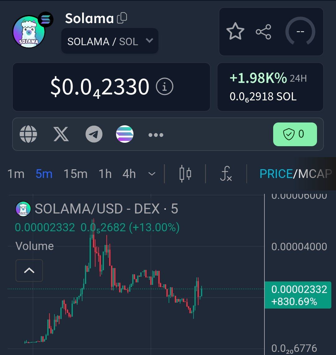 SOLAMA 🦙 tweet media