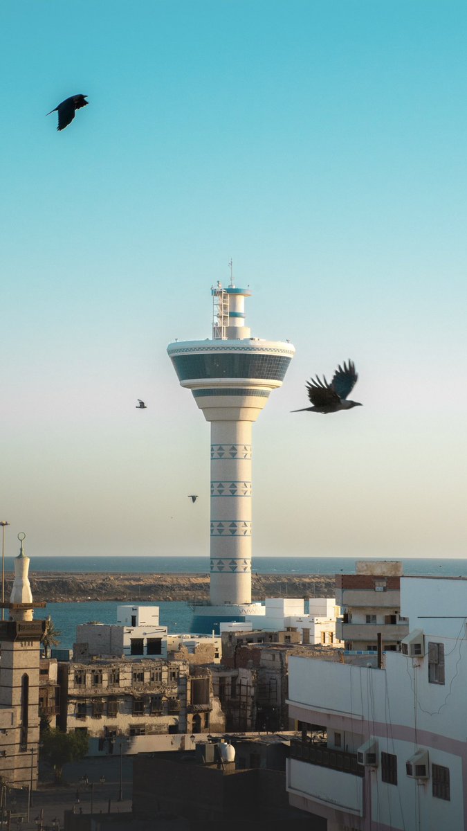 فاطمة الغامدي tweet media