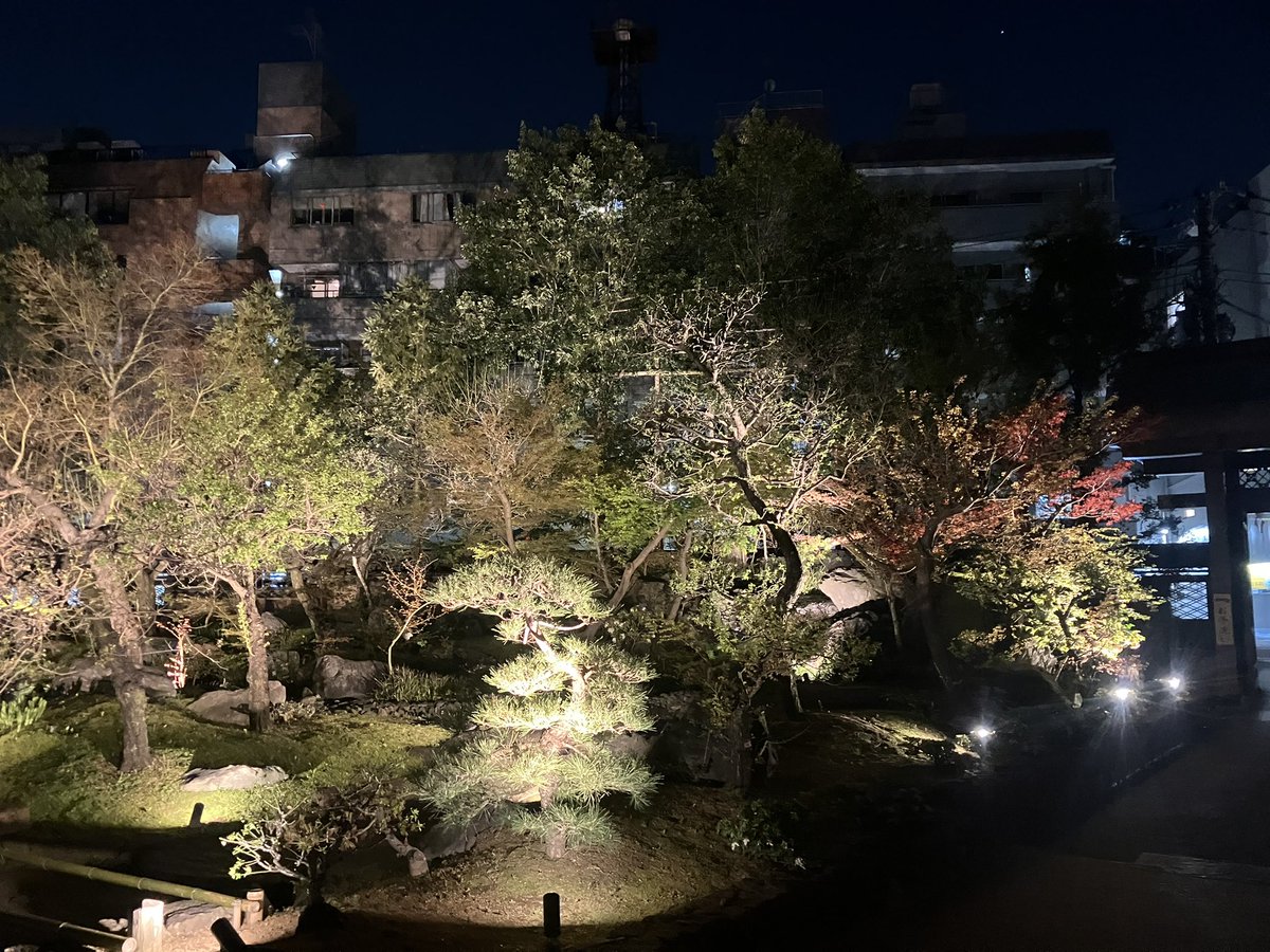 Halder Japan tweet media