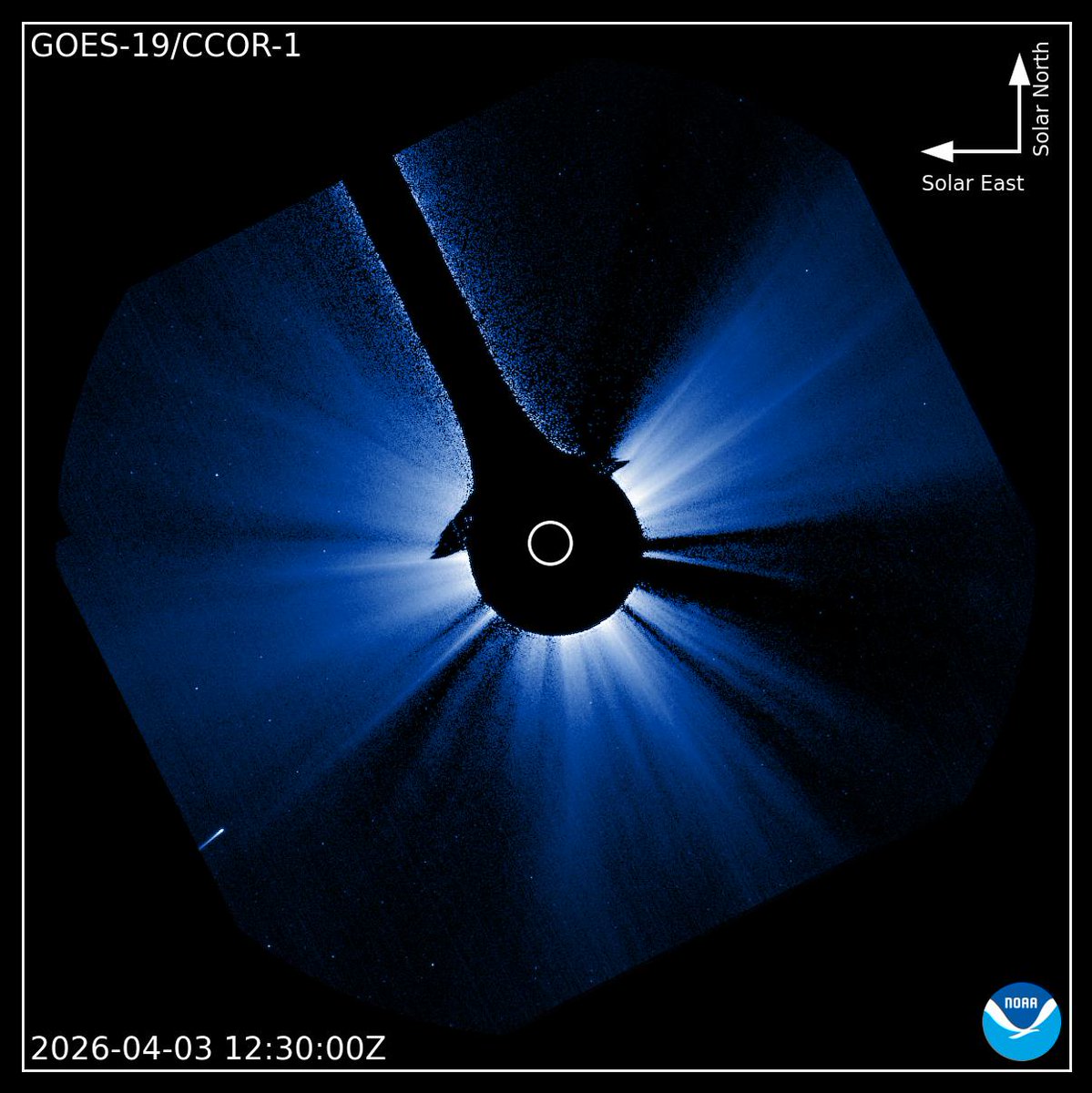 koujiohnishi's tweet image. #マップス彗星（C/2026 A1 (#MAPS))の最新画像

2026年4月3日
#SOHO LASCO C3(21時6分JST)と
#GOES19 CCOR-1(21時30分JST)

小型のSOHO彗星サイズ。これで、近日点を通過できそうにないだろう。しかし、2au~1au辺りまでは比較的明るかったので、通常のクロイツ群の振る舞いと一緒とは限らない？？？
