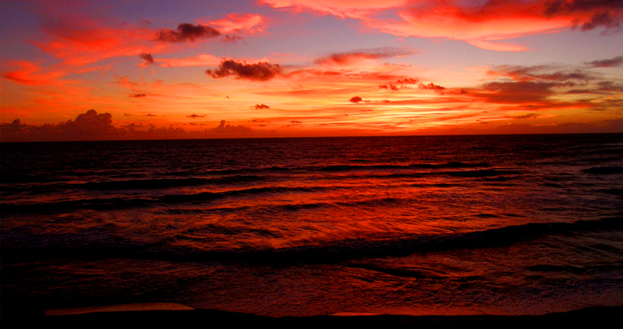 Tropicality Travel Tips tweet media