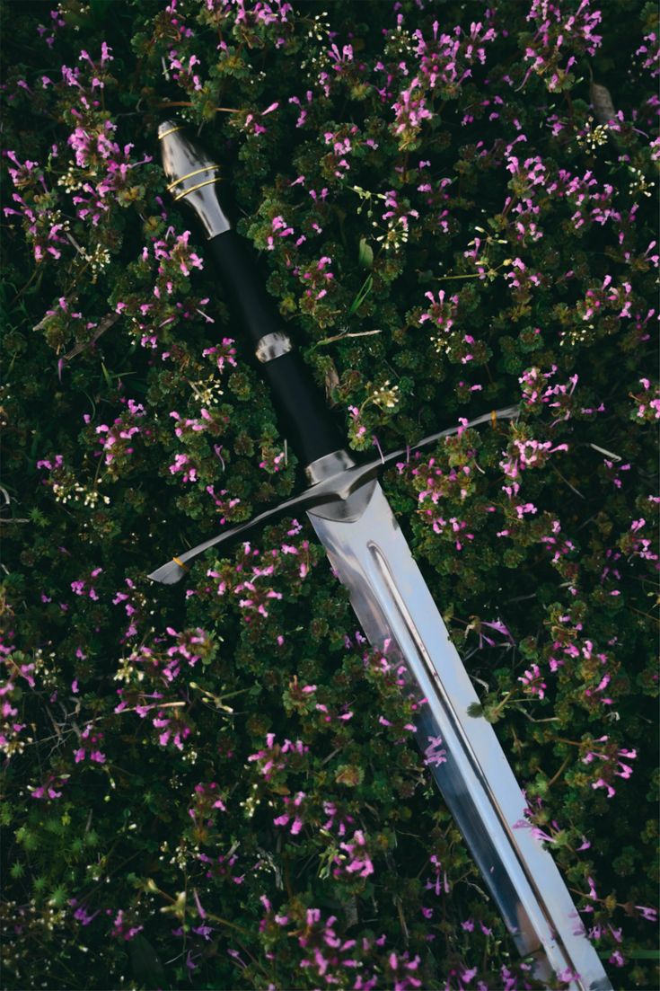 meowti 🇹🇷 tweet media