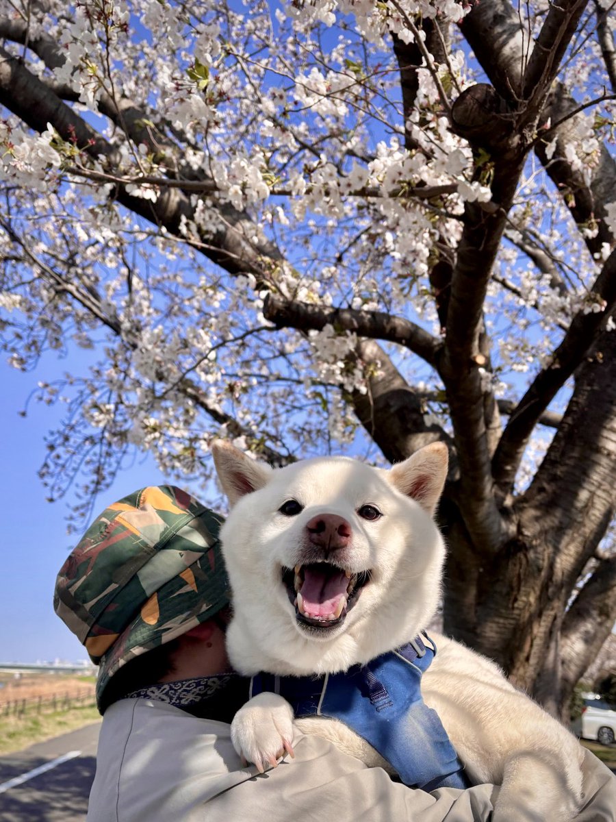 武藤直哉@銀印本舗 tweet media