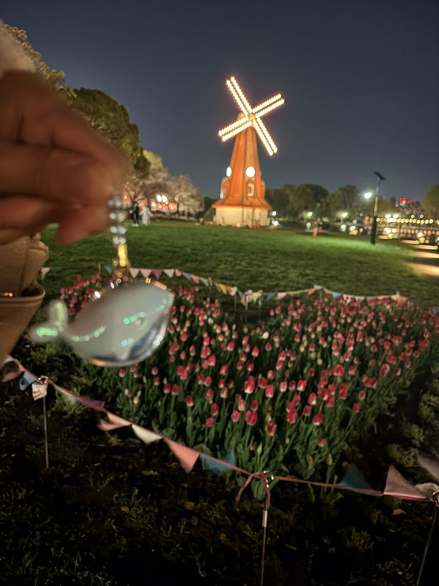 宮野みや tweet media