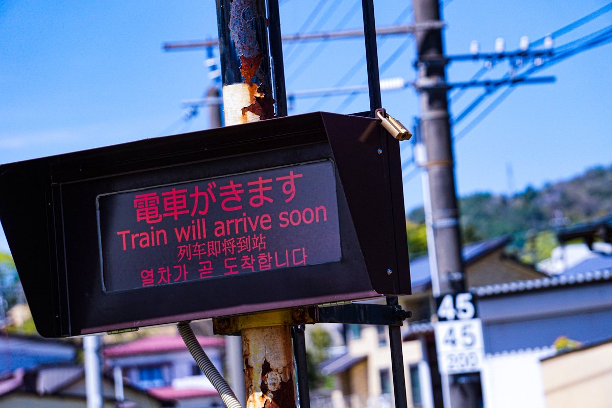 🐇九頭游🐇(好きな食べ物：ダンゴムシ) tweet media