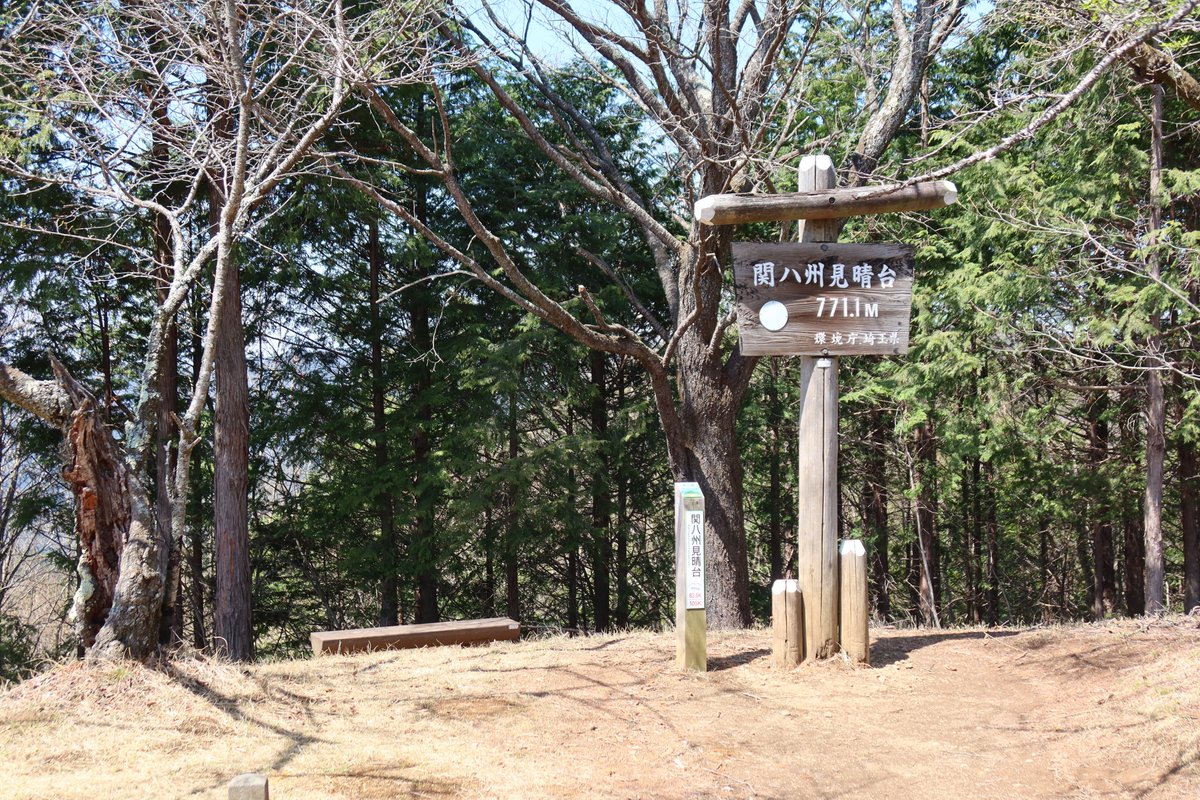 サナースキー tweet media