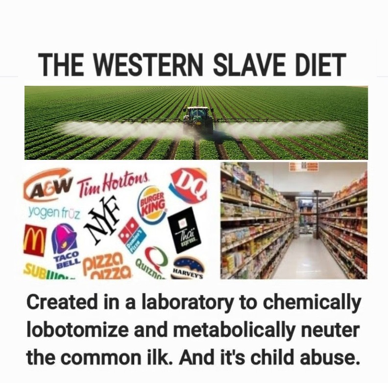 Mark Wilson 🇨🇦 tweet media