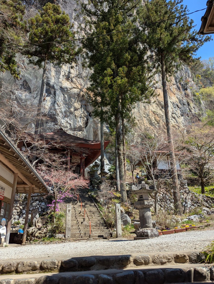 今日もてくてく秩父札所巡り。境内の花やウグイスの鳴き声で春を満喫したところに、たまたまSLを見ることができて、浮世離れした1日でした。#秩父 #午年総開帳 