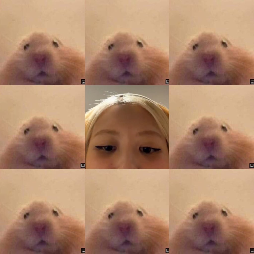 𝙝𝙞𝙞𝙞𝙞 𝙄'𝙢 𝙧𝙤𝙨𝙞𝙚. ₍՞◌′ᵕ‵◌՞₎