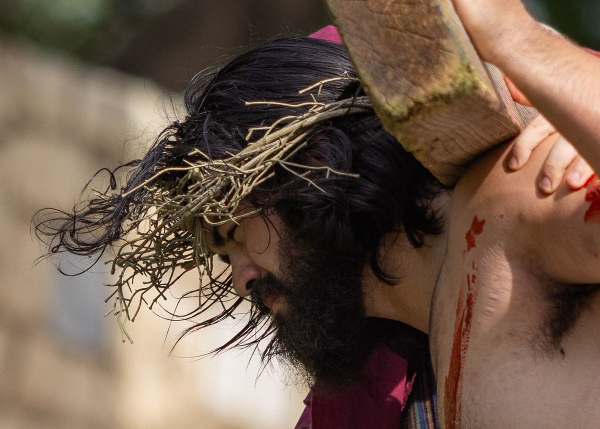 Mary Hardin-Baylor tweet media