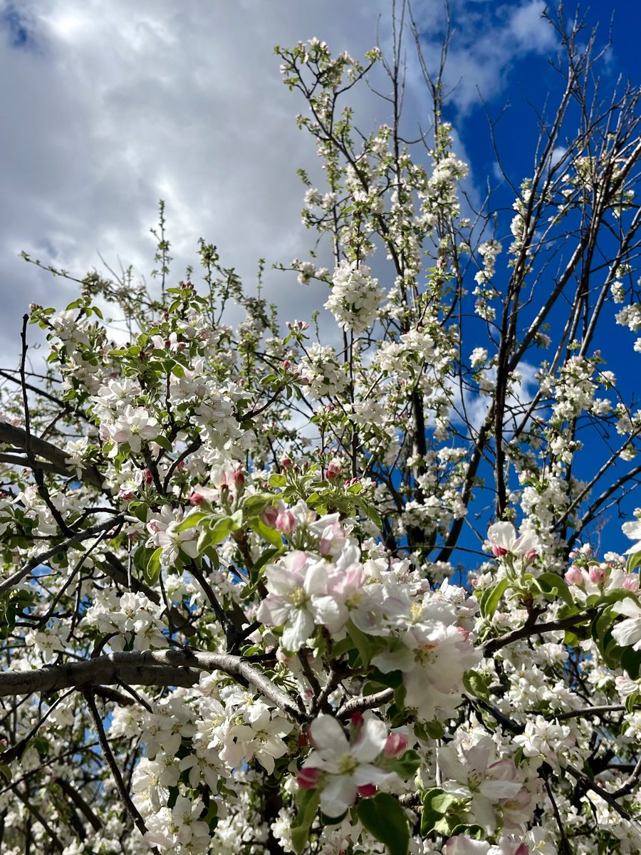 studentoflife tweet media