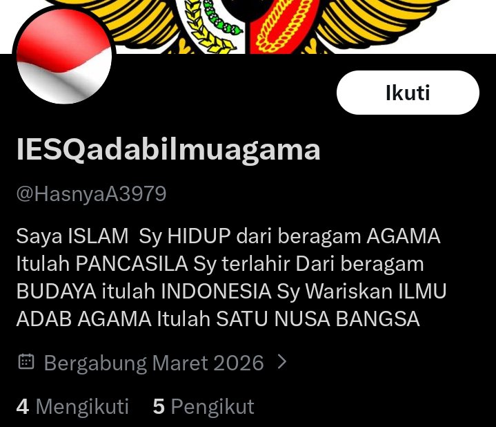 Snezhka Morozova🇷🇺🇮🇩🇮🇷🤝🇵🇸 tweet media