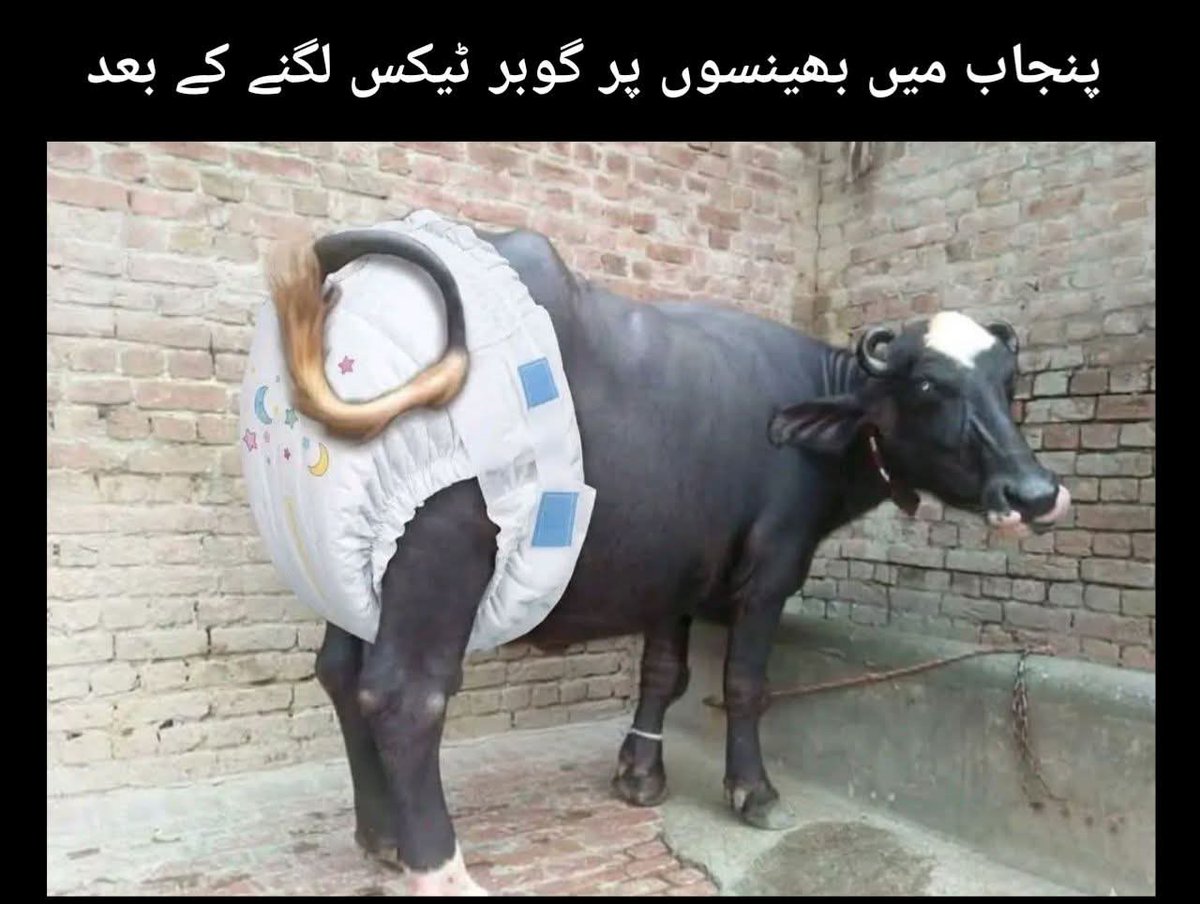 Muhammad Zubair Ilyas tweet media