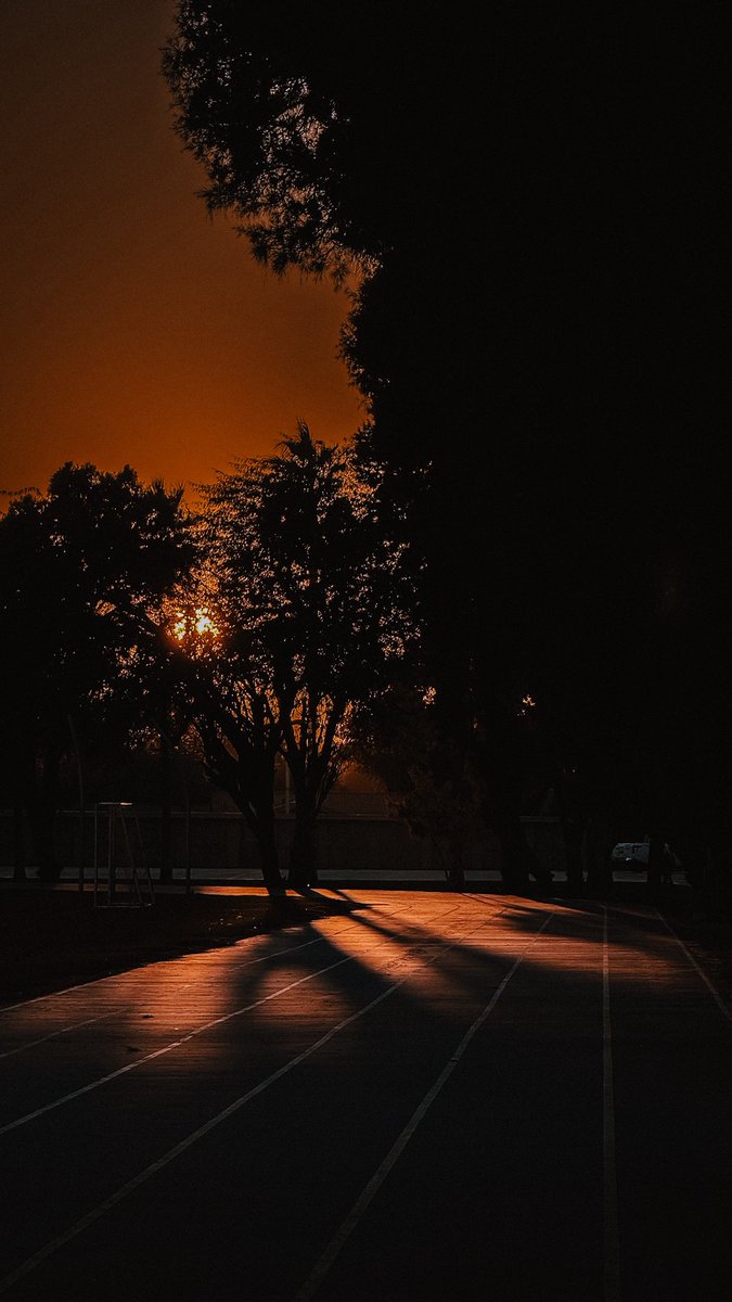 ᴀʟɪ 📷 tweet media