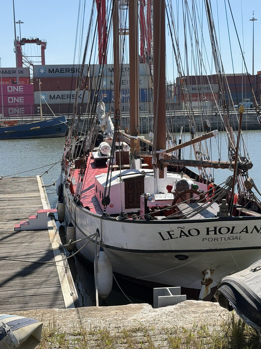 elle⁷ 🪭 tweet media