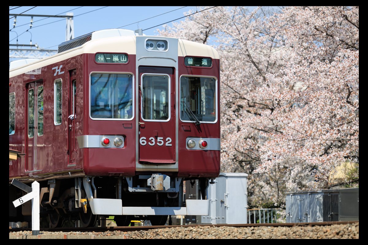 かーじー tweet media