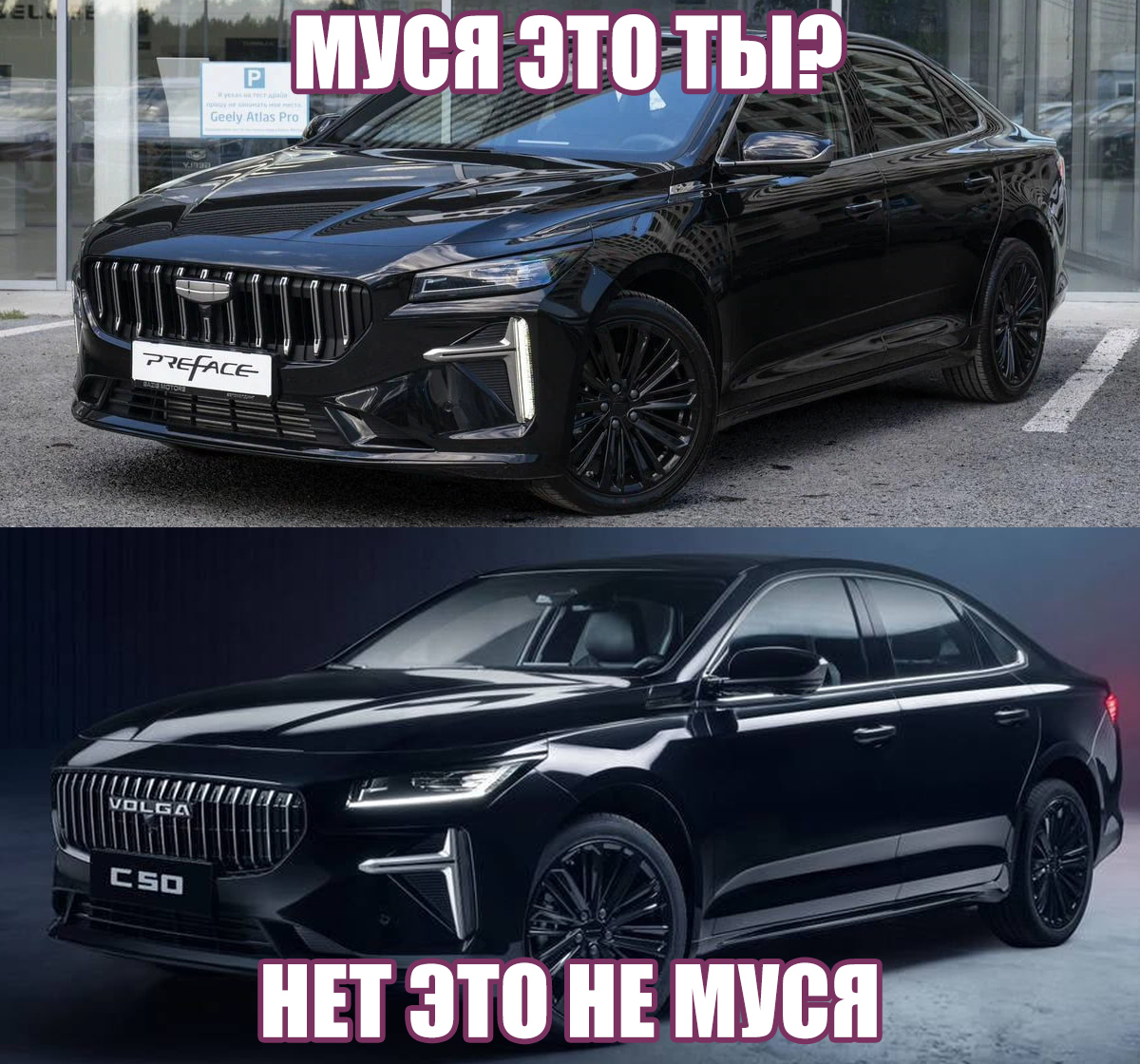 Лентач tweet media