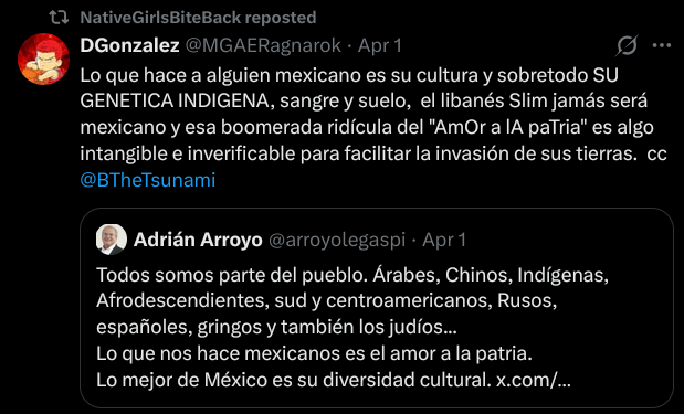 DiadeSanMartin tweet media