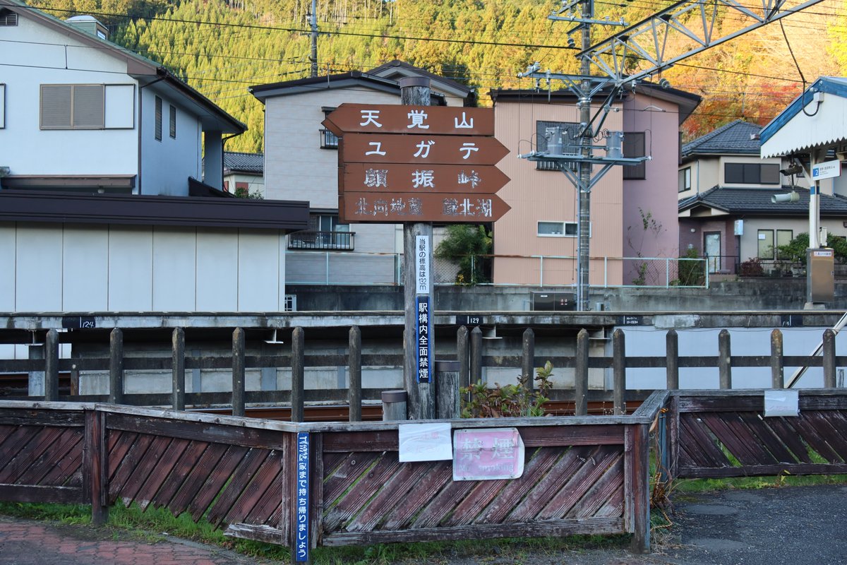 サナースキー tweet media