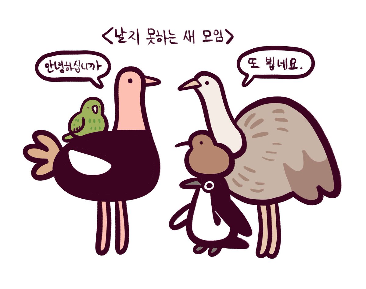 오리연못 tweet media