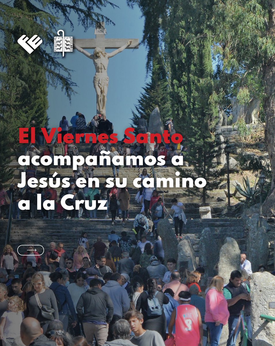 Programa FE tweet media