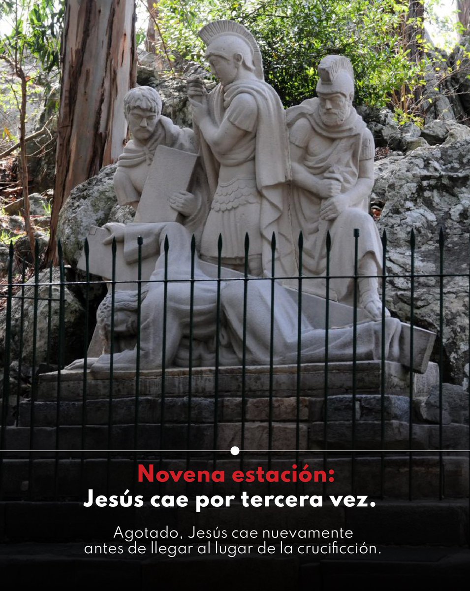 Programa FE tweet media