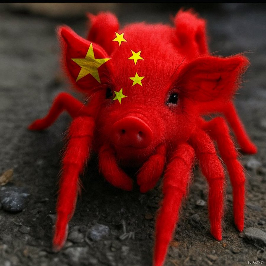 芝麻猪死全家🇹🇼🇯🇵🇵🇭 tweet media