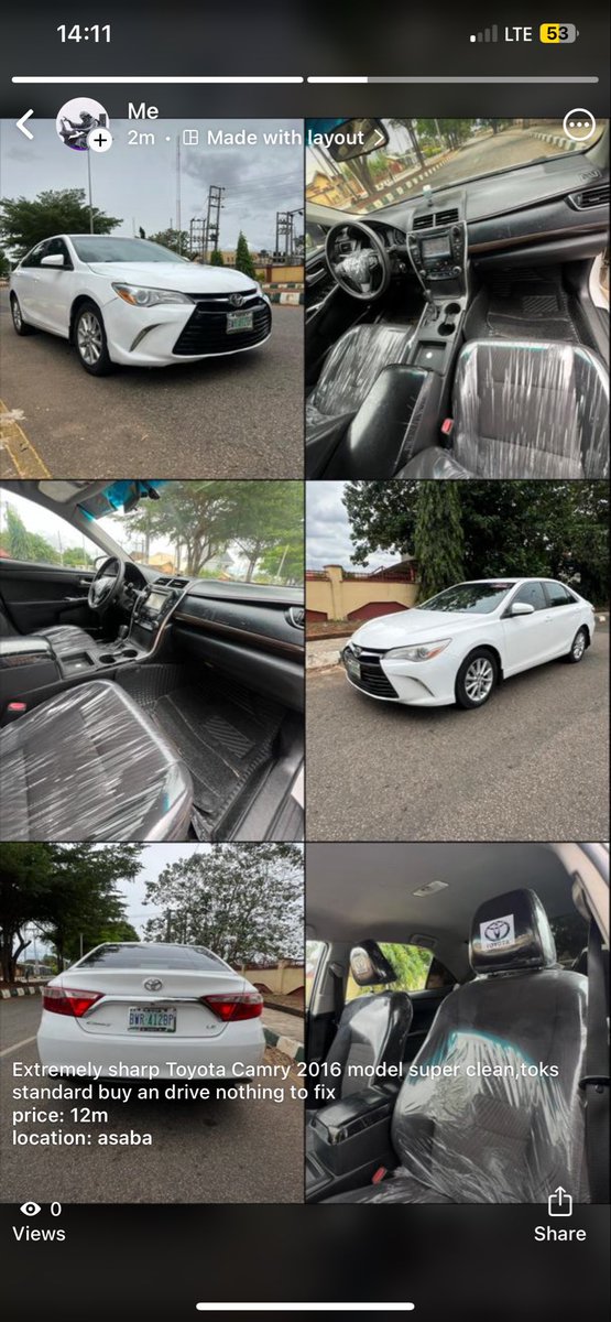 AURAcle 🐢 tweet media