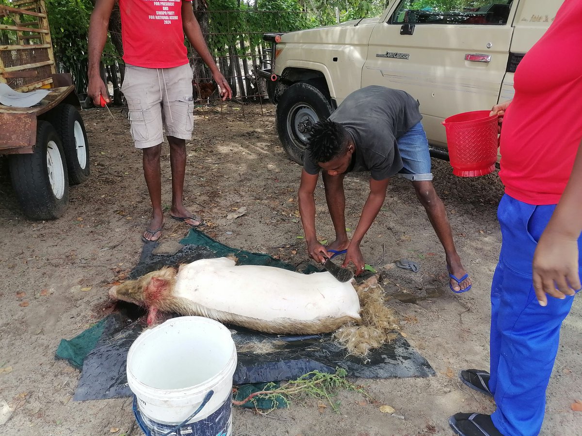 Chipe Chom'kwambi ™️|🇳🇦 tweet media