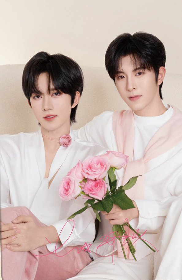 Looking for something? tweet media