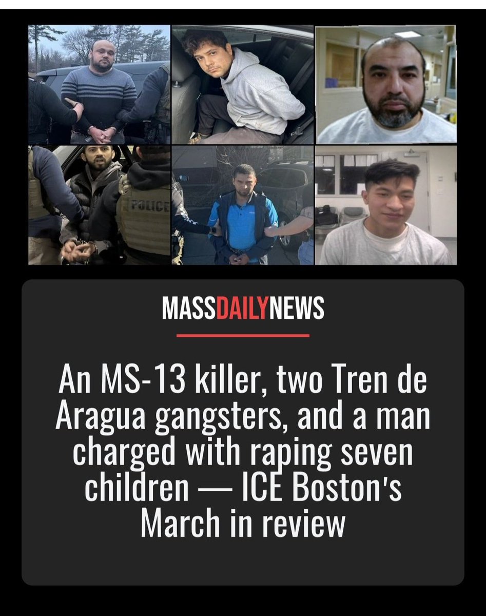 Libtard Finder tweet media