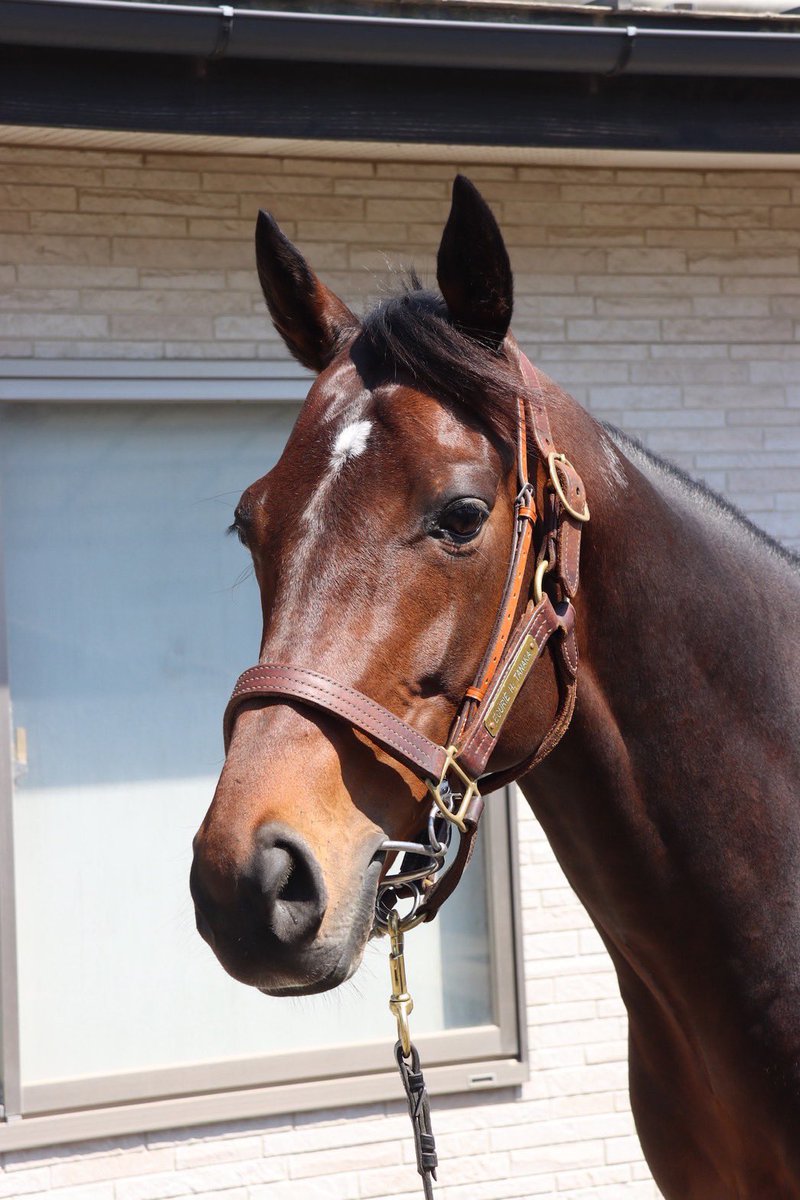 TNレーシング|レーシングマネージャー tweet media