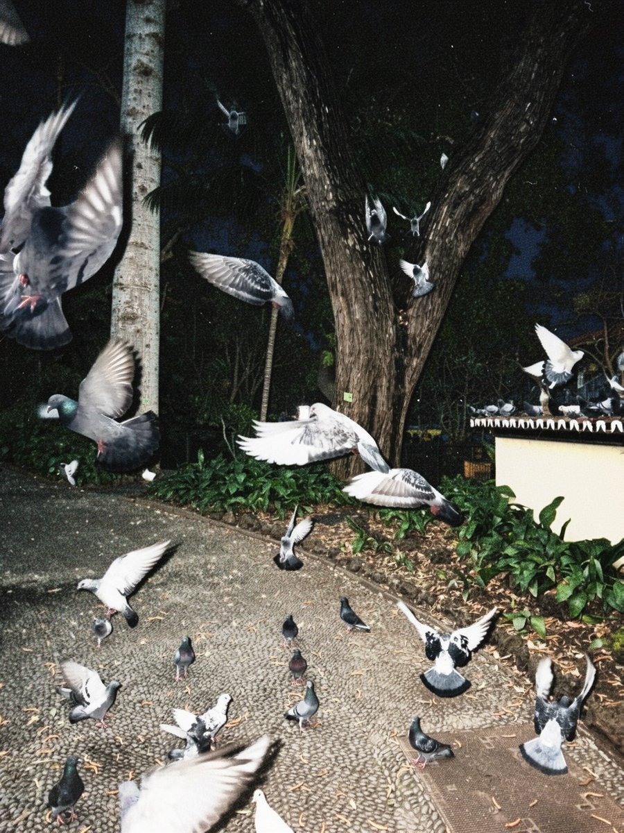 ๐๐๐สน๐๐ tweet media