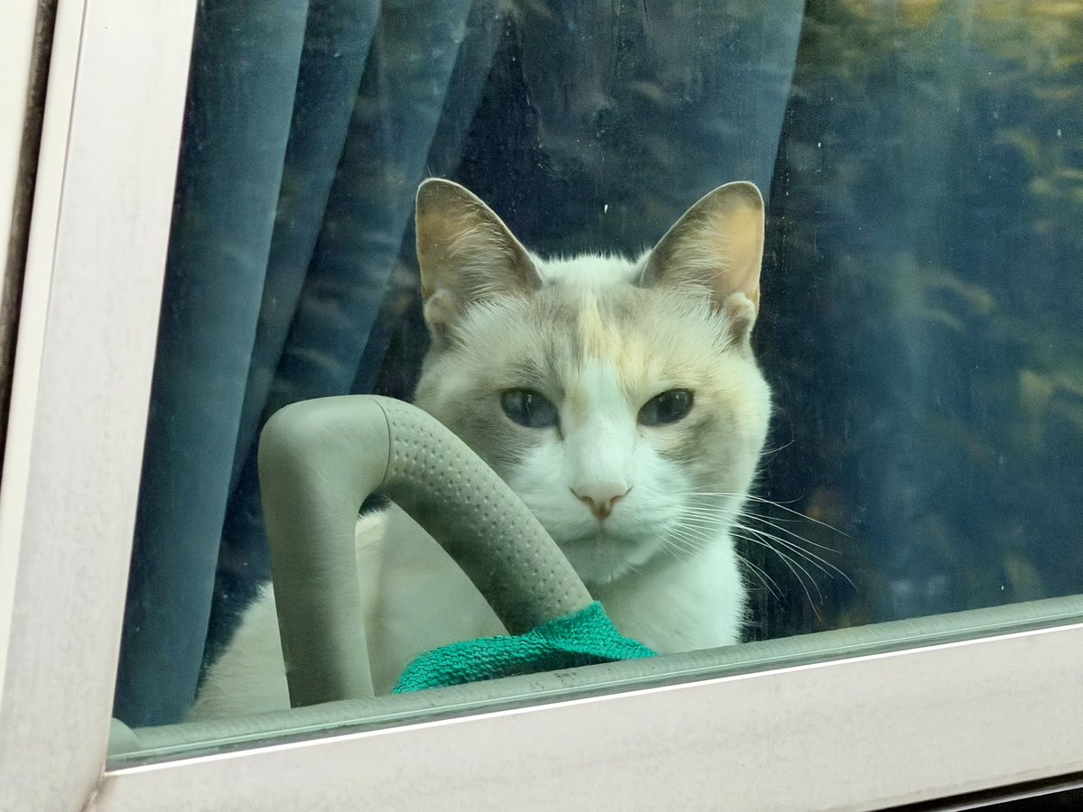 おでかけ部なかじ🚌キャンピングカーライフ tweet media