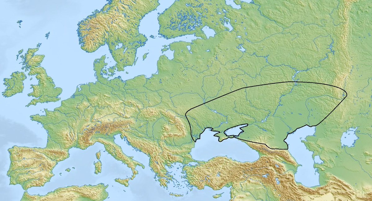 The European Patriot tweet media