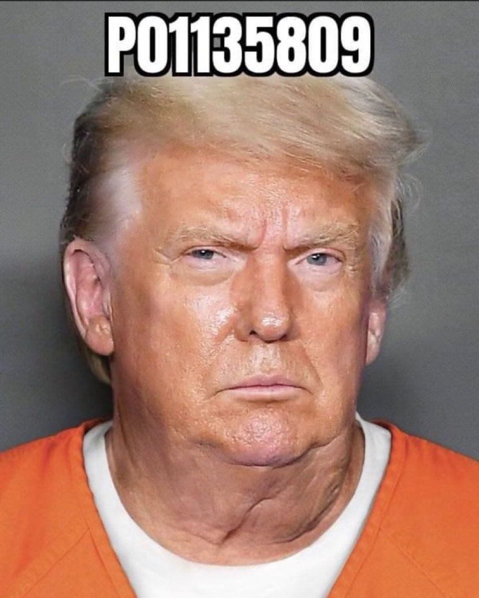 rika fuhrman tweet media